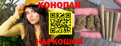 гидра Бузулук