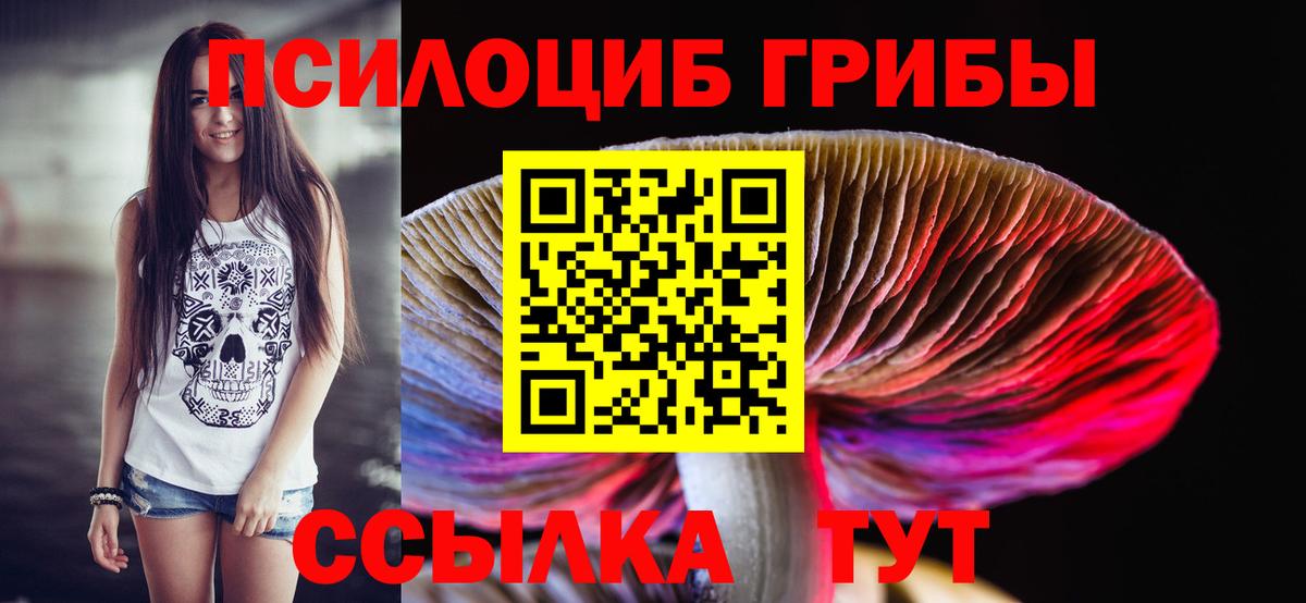 Славгород  Галлюциногенные грибы прущие грибы  Вход с VPN 