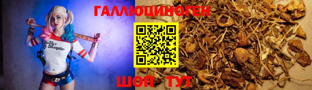 Галлюциногенные грибы MAGIC MUSHROOMS Славгород